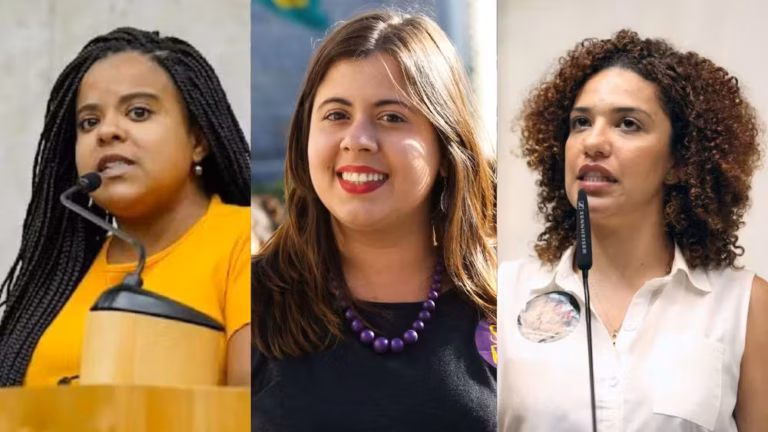 Luana Alves, Mônica Seixas e Samia Bomfim pedem ao Ministério da Saúde plano de ação após enchentes em SP 